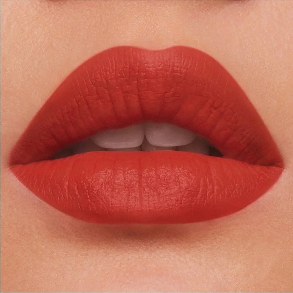 Estee Lauder Pure Color Matte Lipstick 666 CAPTIVATED NEW!